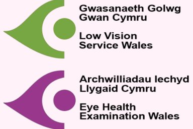 Low vision service Wales and Eye Health Examination Wales logos 